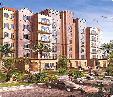Studio Apartment in Gardens AED 60000 Yearly Studio Apartment in Gardens AED 60000 Yearly