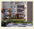 Furnished 1 Bedroom Apartment in Discovery Gardens AED 6000 Monthly