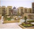 Furnished 1 Bedroom Apartment in Greens AED 80000 Yearly
